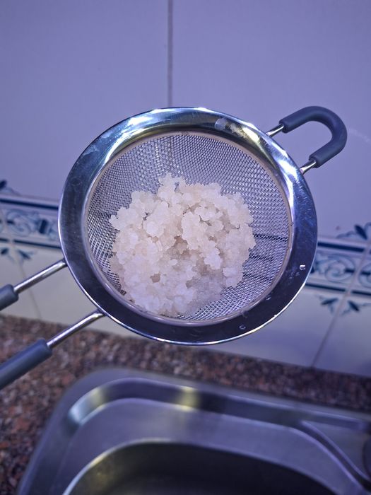 Kefir de água - grãos saudáveis