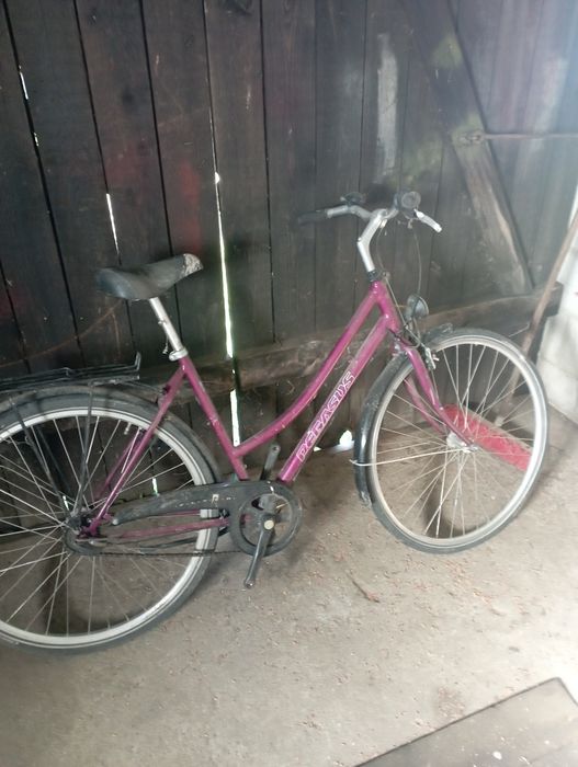 Rower holenderski