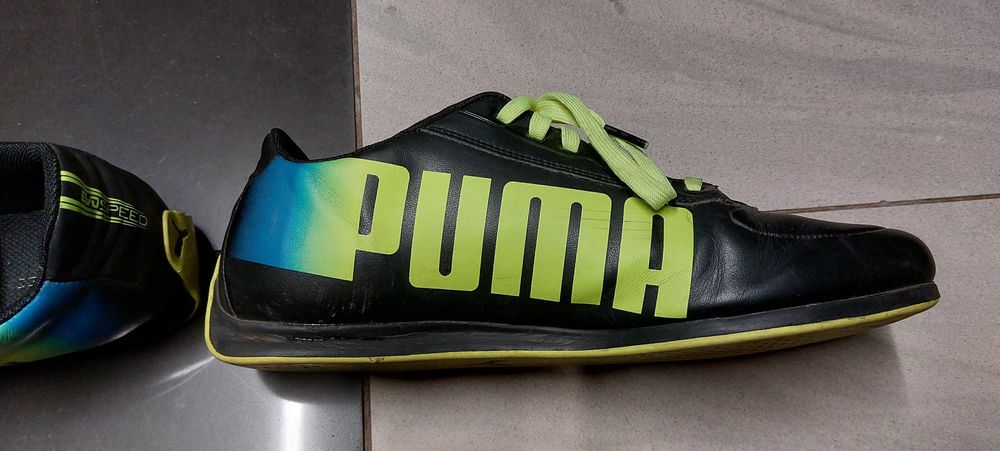 Buty Puma  Evospeed Kolory!