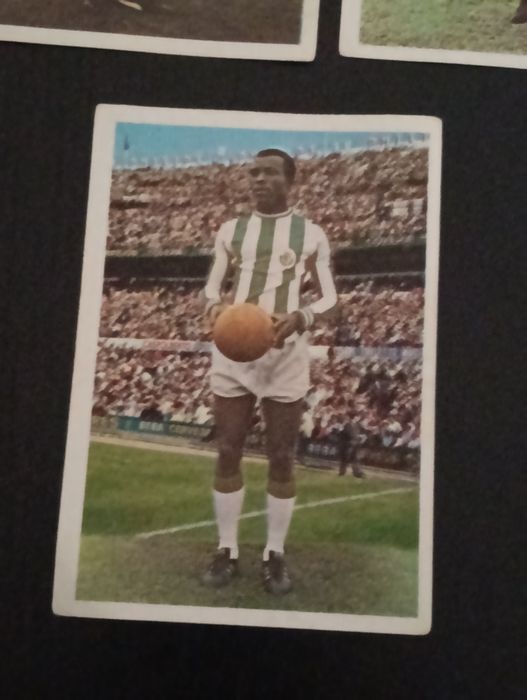 Cinco cromos época 70/ 71 Vitoria Futebol Clube