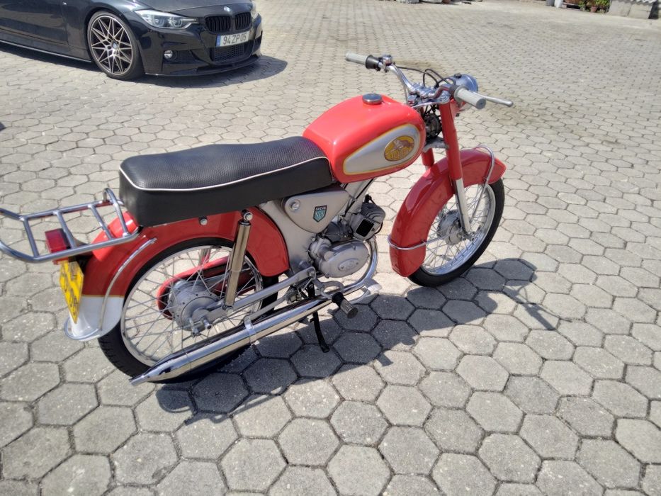 Sachs lebre 1972