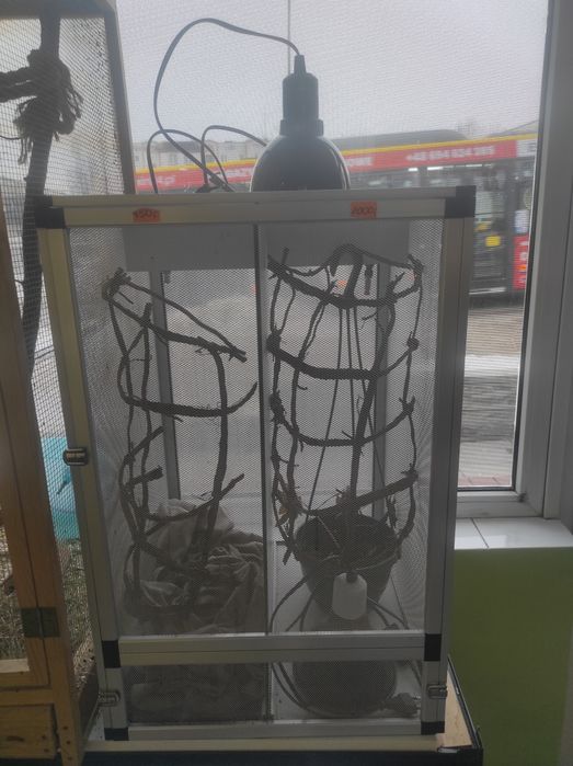 Terrarium siatkowe 43 x 43 x65