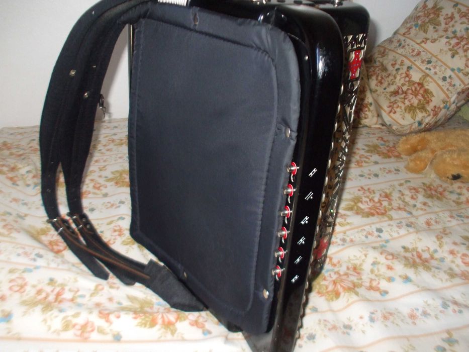 Acordeon de Botões Marca Gallinari 3ª voz Electrificado