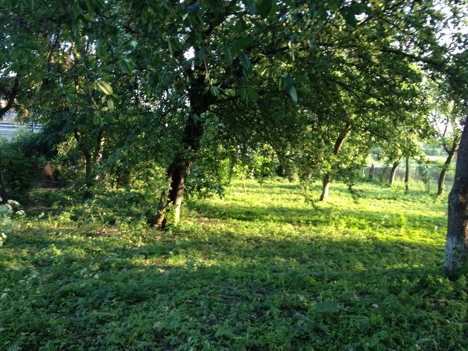 Приватний будинок з присадибною ділянкою