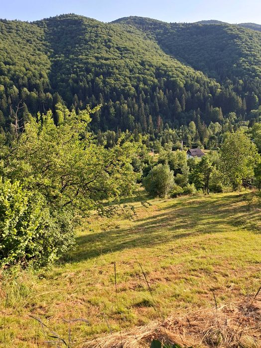 Земельна ділянка