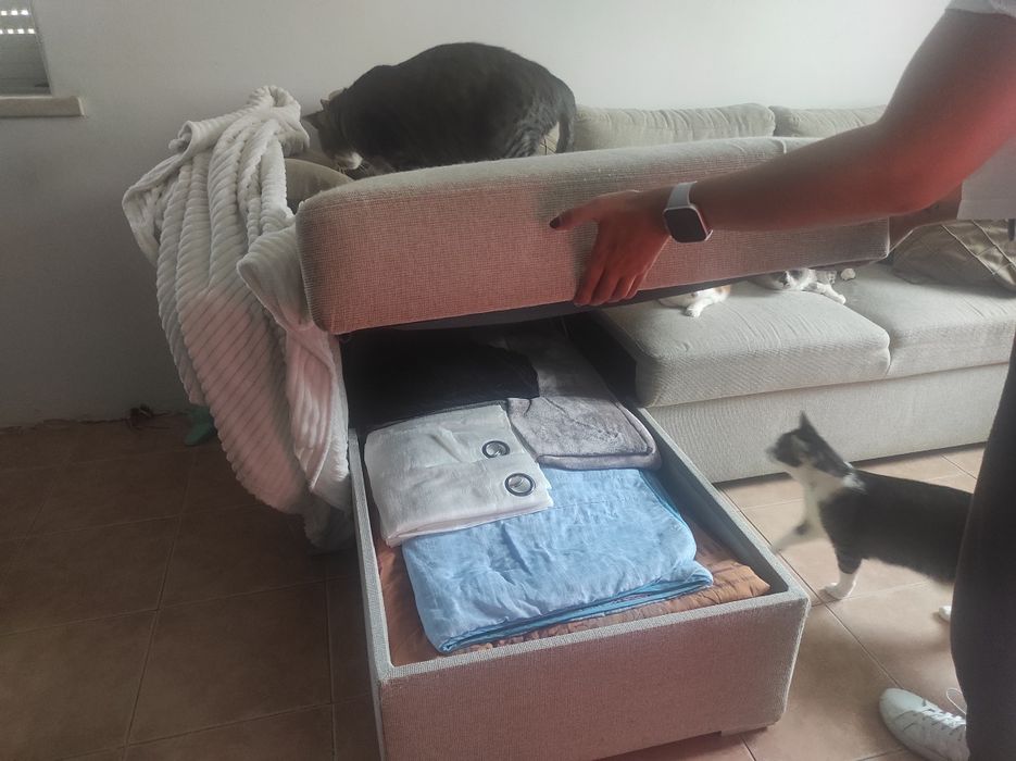 Sofá cama com chaise