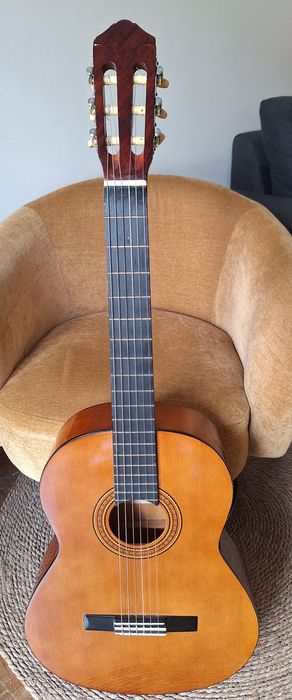 Viola acústica marca Zeus
