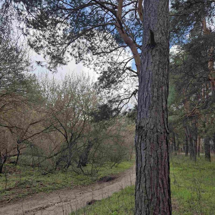 Продам земельну ділянку Лісопаркова