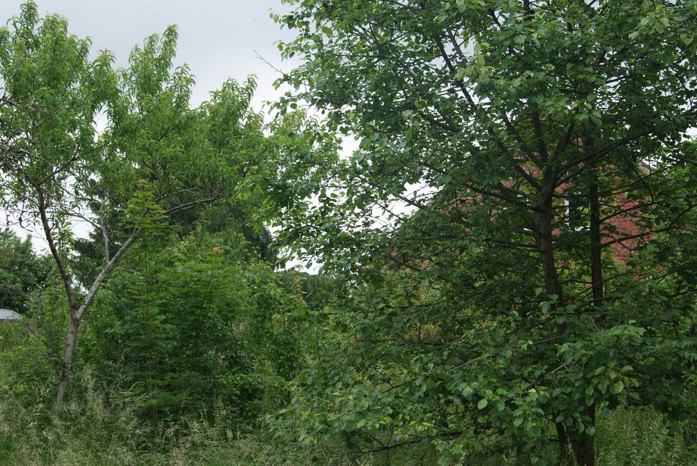 Zdjęcie 6