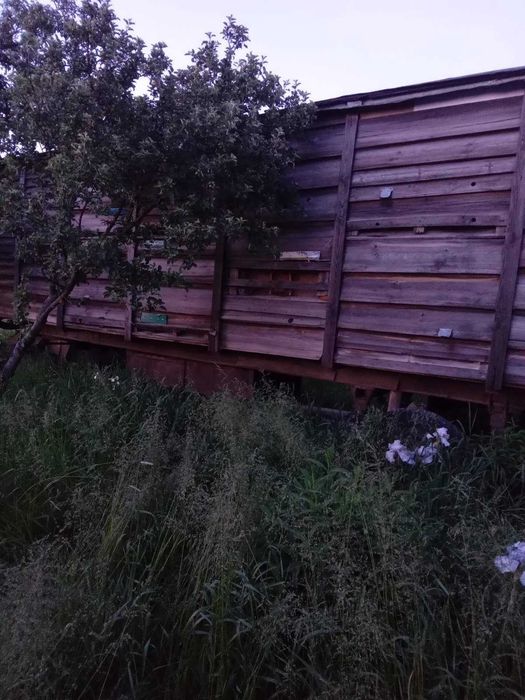 Продається павільйон + 4 вуликі в подарунок