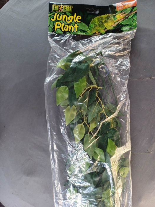 Rośliny do terrarium Exoterra  (NOWE)