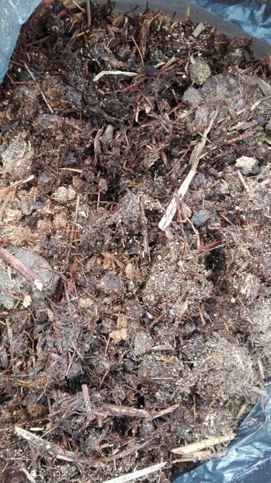 Obornik króliczy duży worek 120 litrów