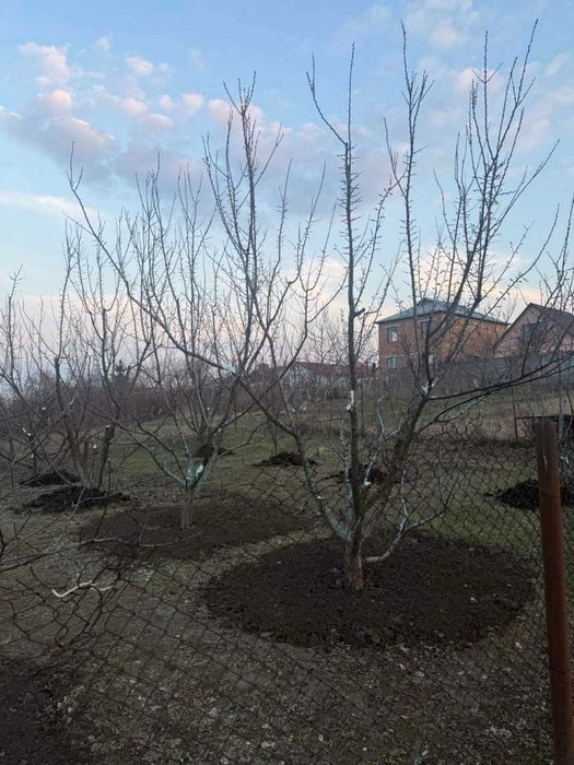 Хотів. Присадибна ділянка 12 сот, вул.Молодіжна.