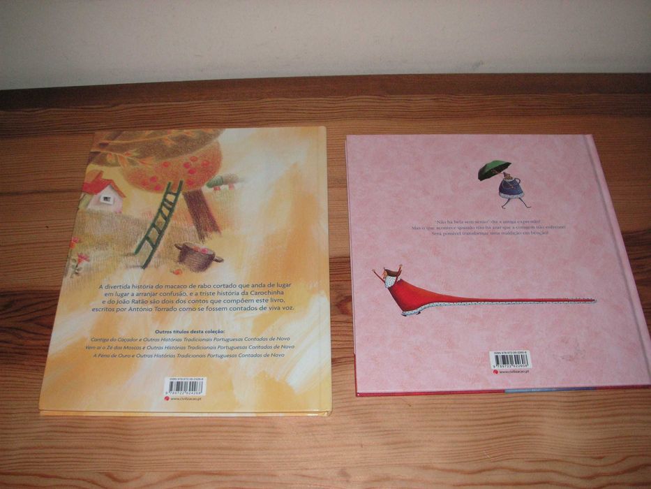 O Macaco de Rabo Cortado e A Princesa da Chuva - Plano N Leitura