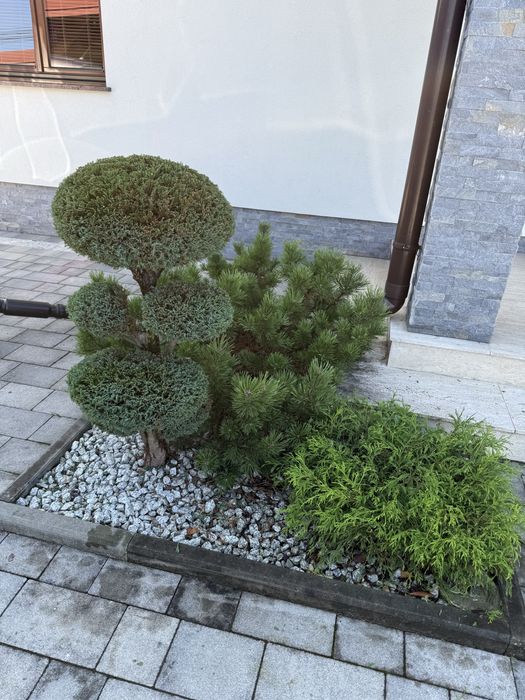 Pielegnacja ogrodów