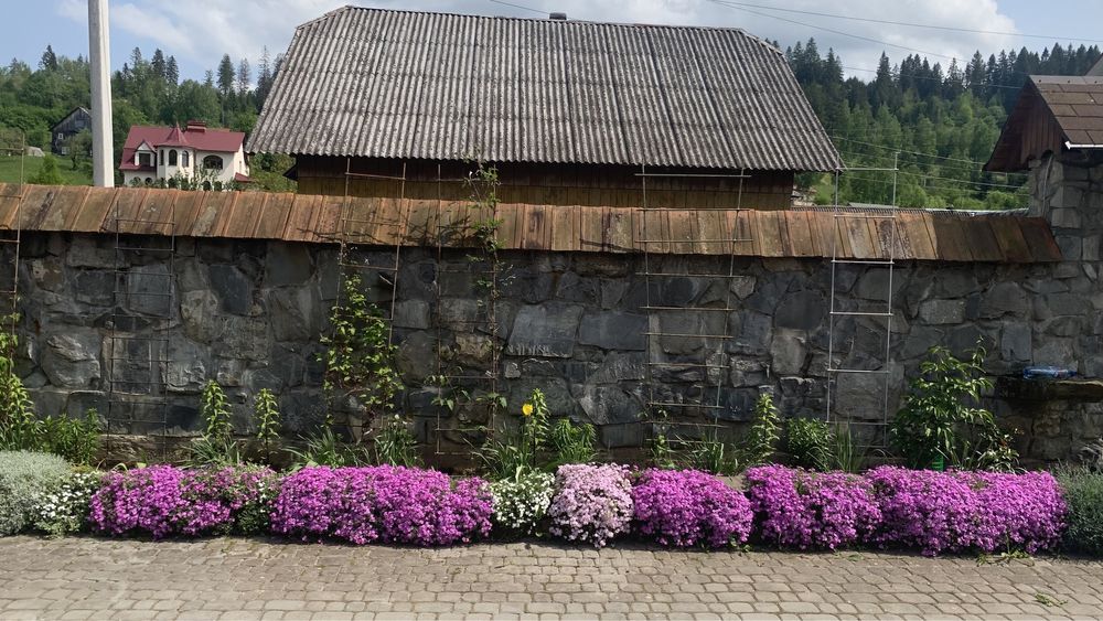 Відпочинок в Карпатах (смт.Славсько)