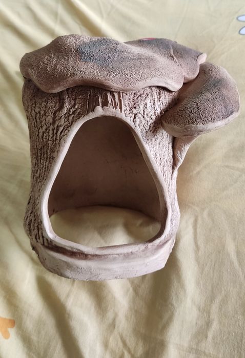 Домик для черепахи