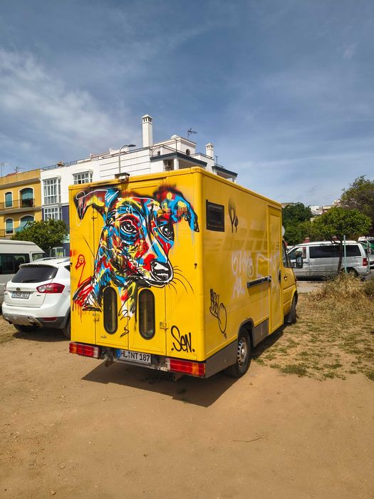 Mercedes-Benz Sprinter 308 CDI — Campervan de Construção Própria (Ex-DHL, Caixa Fechada)