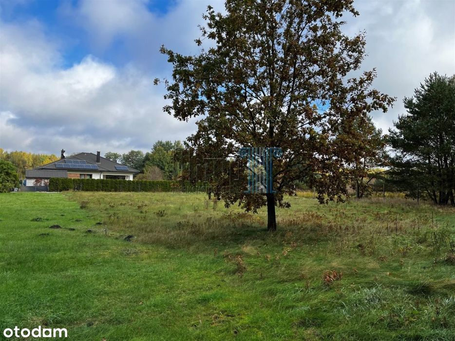 Niwy Działki Bezpośrednio Przy Lesie