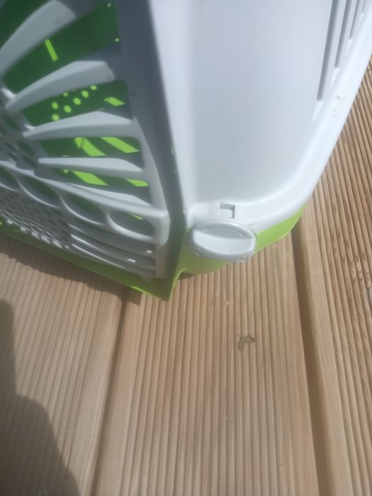 Caixa transporte de animais