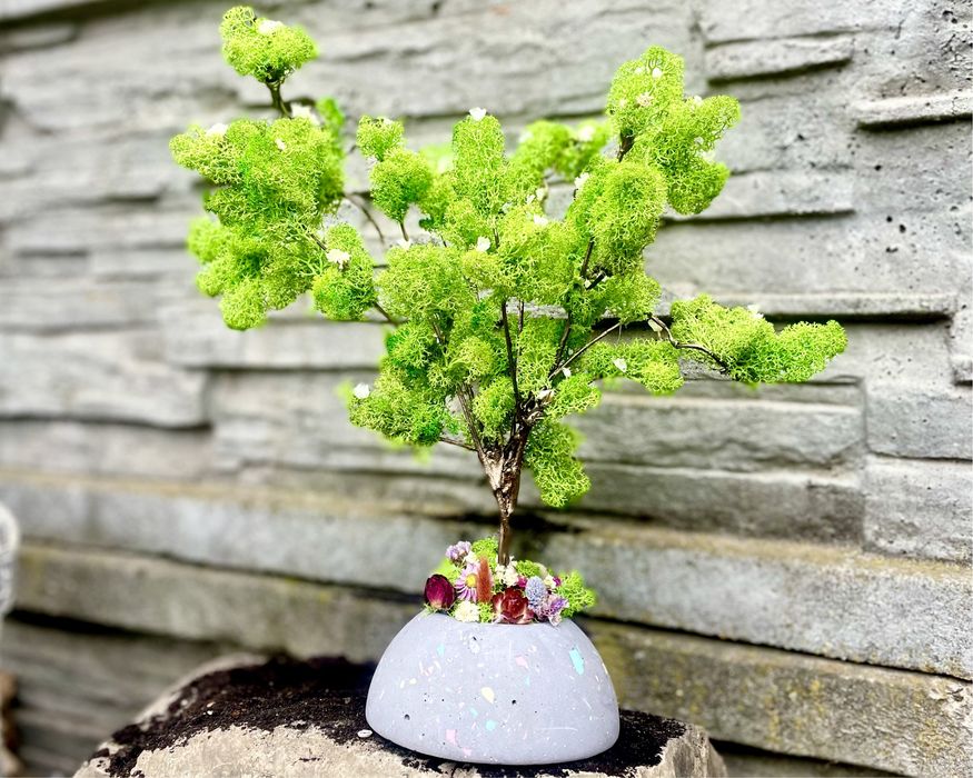 Дерево з живого моху