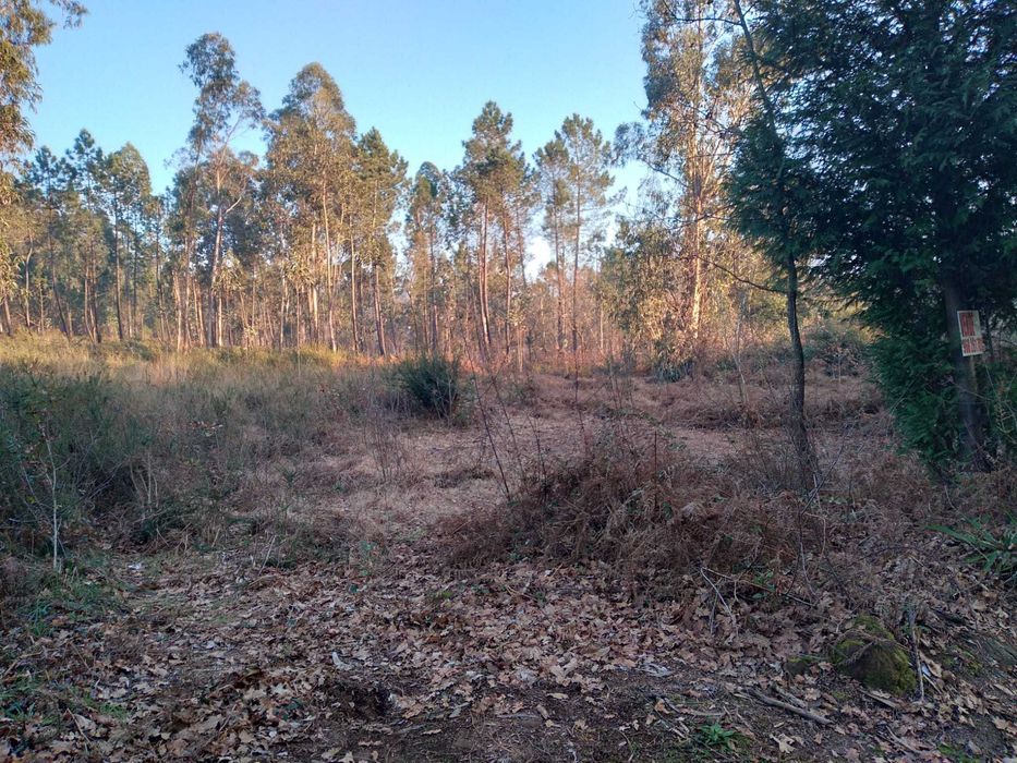 Vendo Terreno em AGRELA