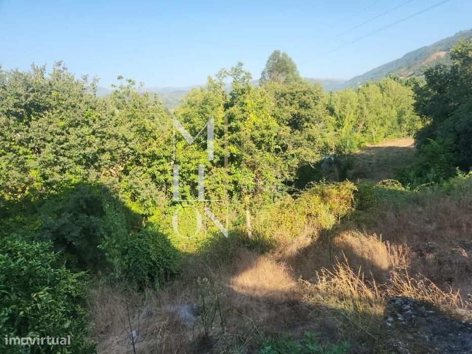 Ruína T3 Com Dois Artigos E 3.100 M² De Terreno — Padronelo, Amarante