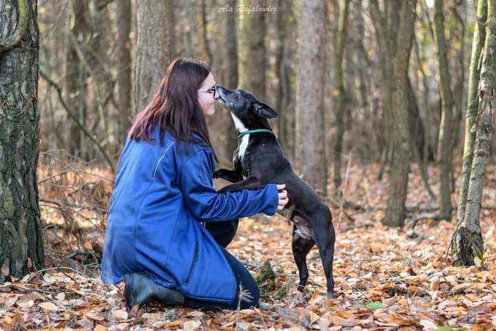 Zorka starsza sunia w której drzemie szczeniak! Pokochaj! Adoptuj!