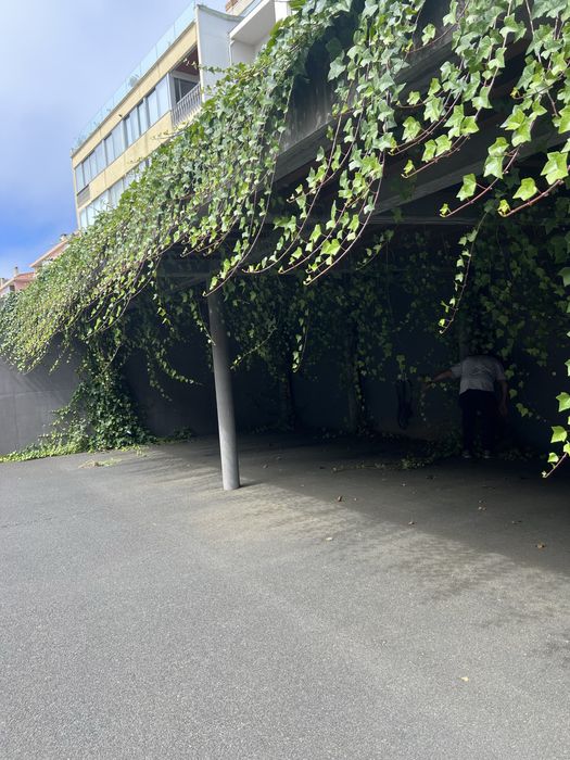 Servicos de jardinagem e limpeza de terrenos.