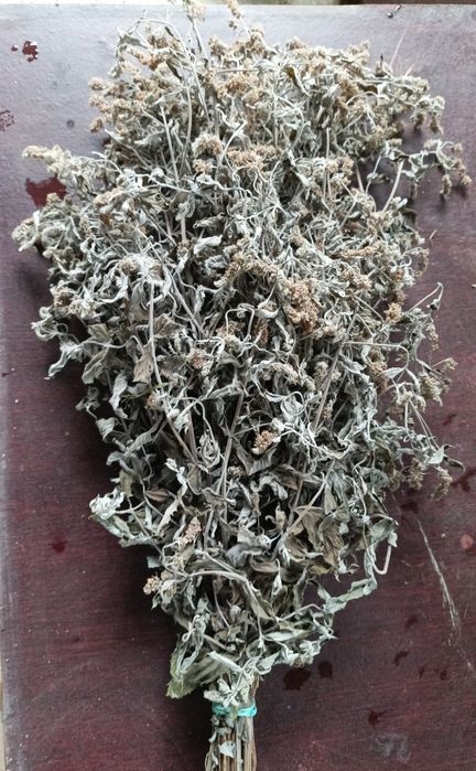 Віники для бані березові і дубові