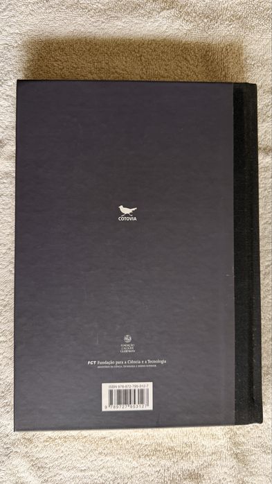 Paura Rego e o Poder da Visão, Ana Gabriela Macedo, COTOVIA, 2011