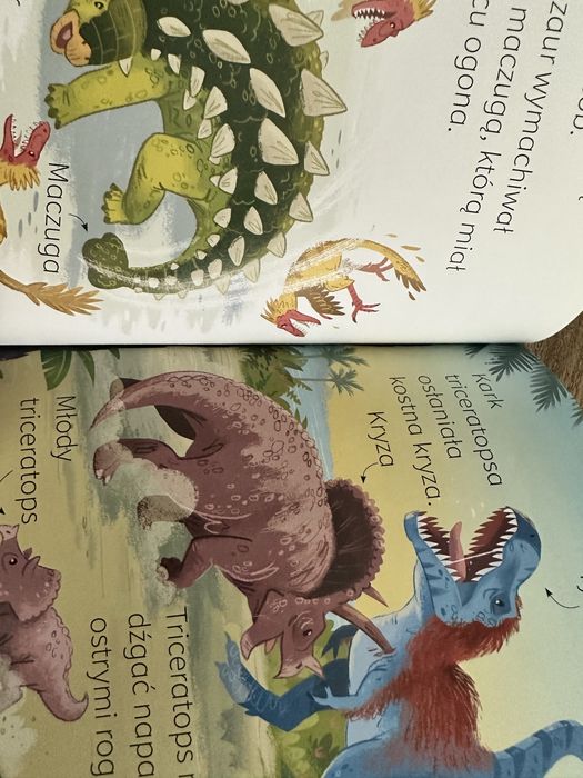 Ksiażka o dinozaurach
