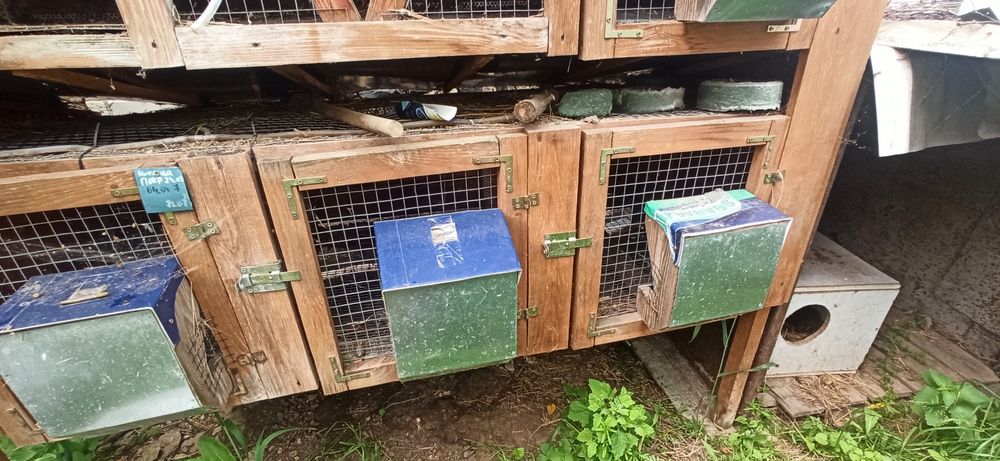 Автономна клітка для кролів на 5 відділень з поїлками та кормушками