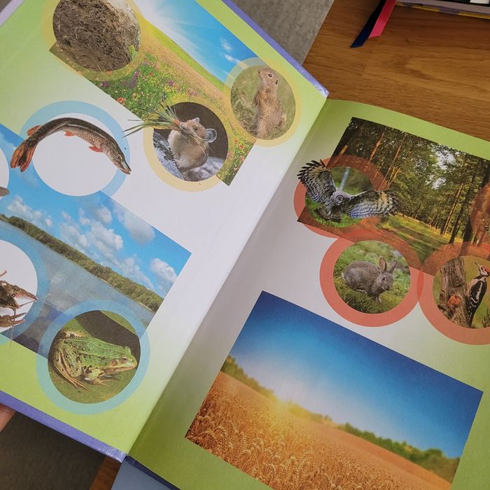 Комплект підручників 1ч.та 2ч. ЯДС 1кл. Гільберг