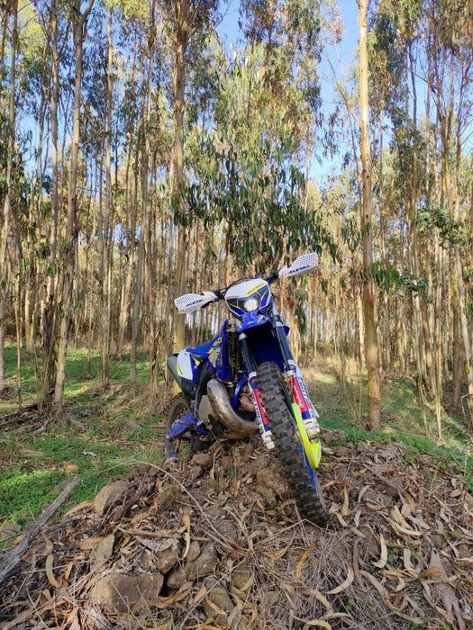 Sherco factory 300 2t