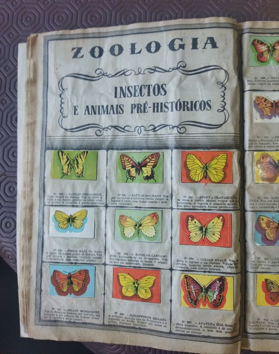 Álbum de Zoologia