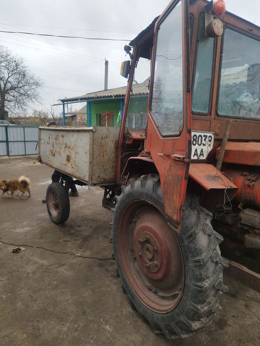 Продам т 16 попрошайка