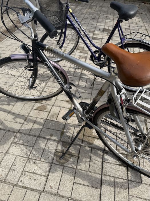 Rower meski Gazelle 28