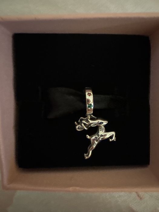 charms pandora..