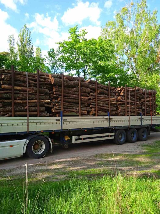 Дрова Дубові з Доставкою по Київській області, Дуб Дрова
