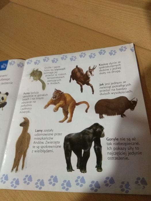 3 Książki dla dzieci.