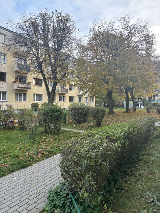 Zdjęcie 8