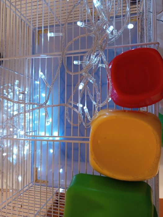 Клетка с колесом,поильниками ,кормушкаими и домиками