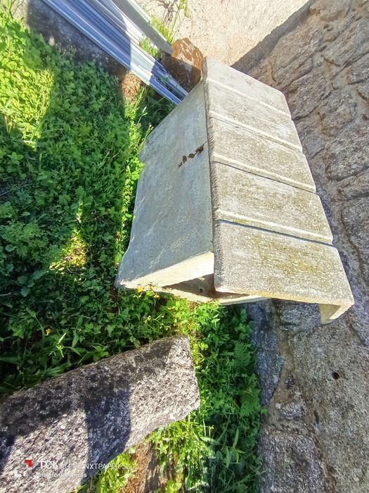 Casa para cão grande