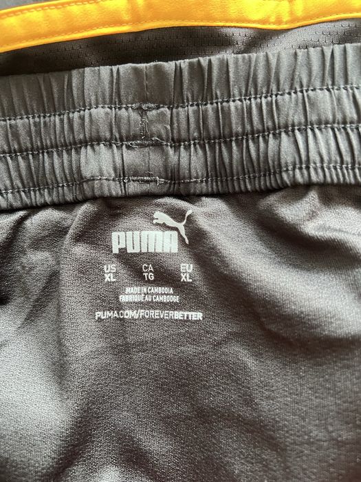 Spodenki Puma męskie