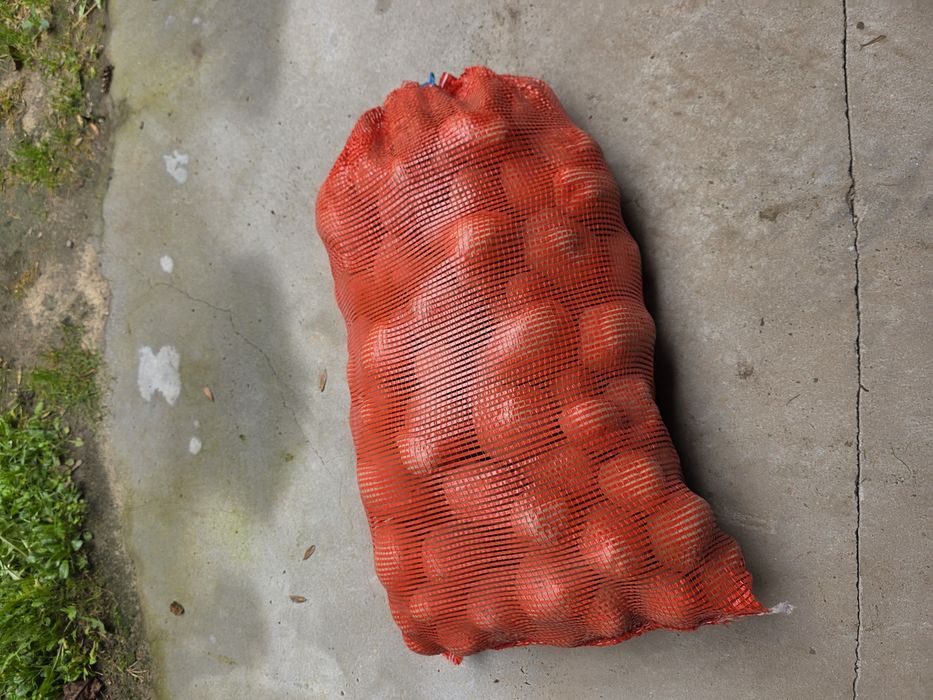 Sprzedam ziemniaki żółte Belarosa