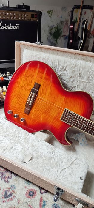 Washburn SBF-80 + Case