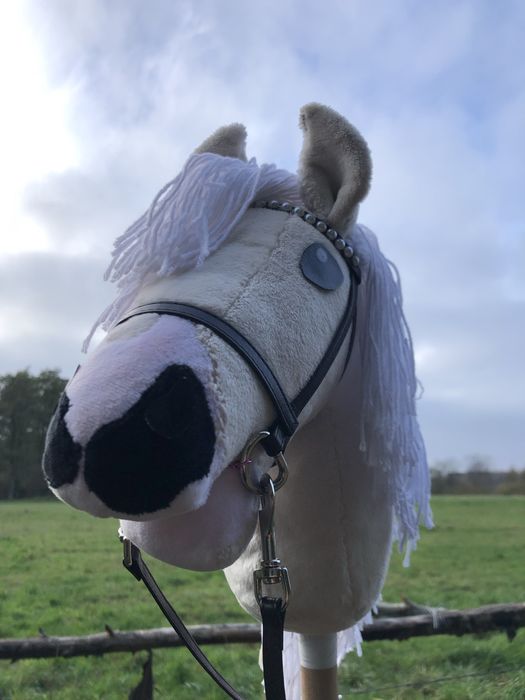 hobby horse(cena do negocjacji)