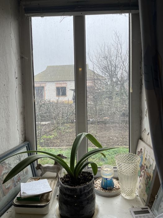 Продаю 2 будинка зручностями передмісті м Долинська на площі 50 соток