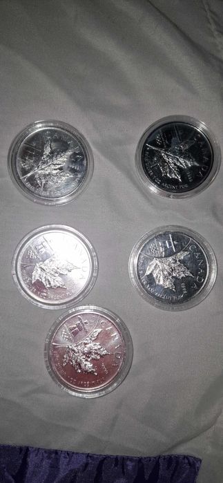 Moedas De Prata 999